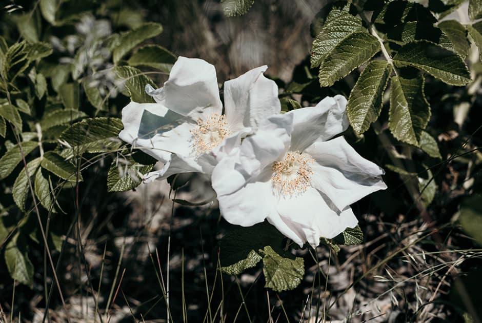 artwork Олени Морозової - - проект Я знала, що вона ніколи не матиме дітей