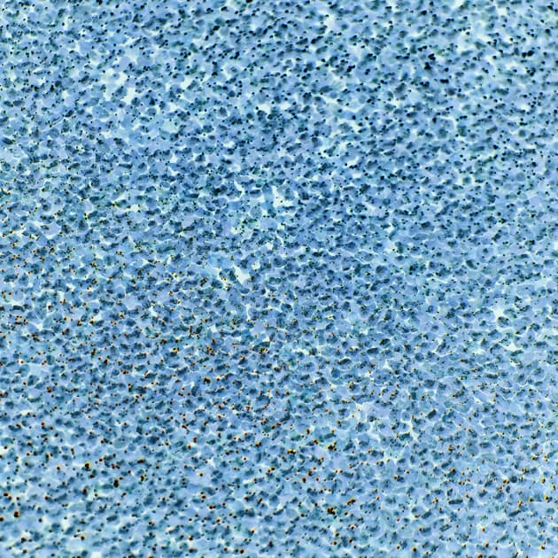 artwork Олени Морозової - 