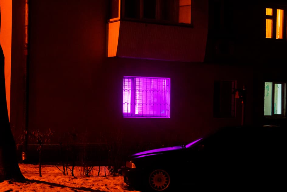 artwork Олени Лемберської - - проект Thin red line