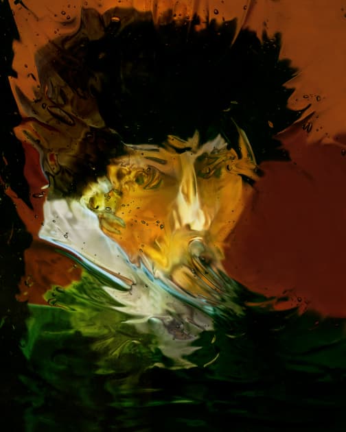 artwork Мілли По - - проект Wild