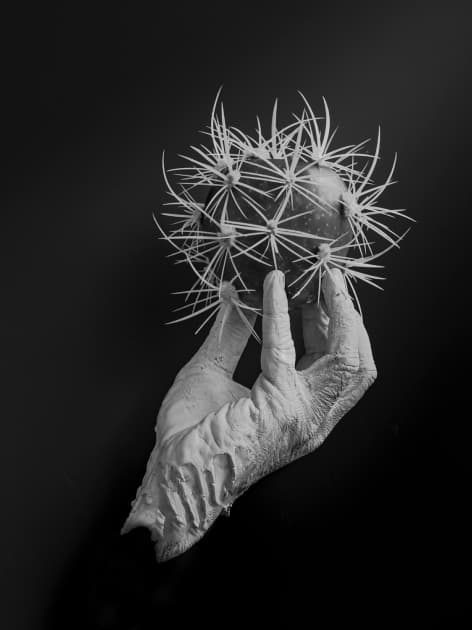 artwork Artem Honchariuk -  