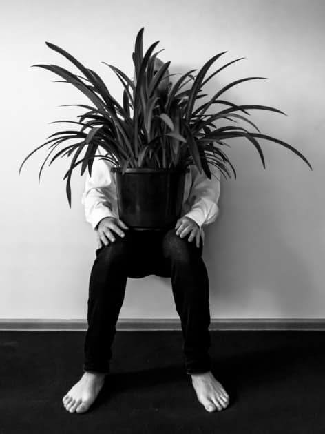 artwork Artem Honchariuk -  