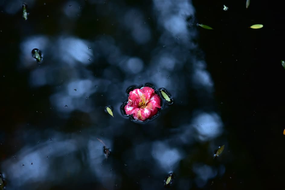 artwork Максим Роменський -  - Un peu de soleil dans l_eau froide