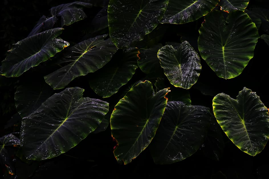 artwork Максим Роменський -  - Un peu de soleil dans l_eau froide