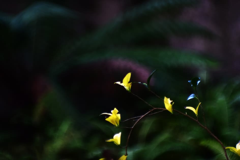 artwork Максим Роменський -  - Un peu de soleil dans l_eau froide
