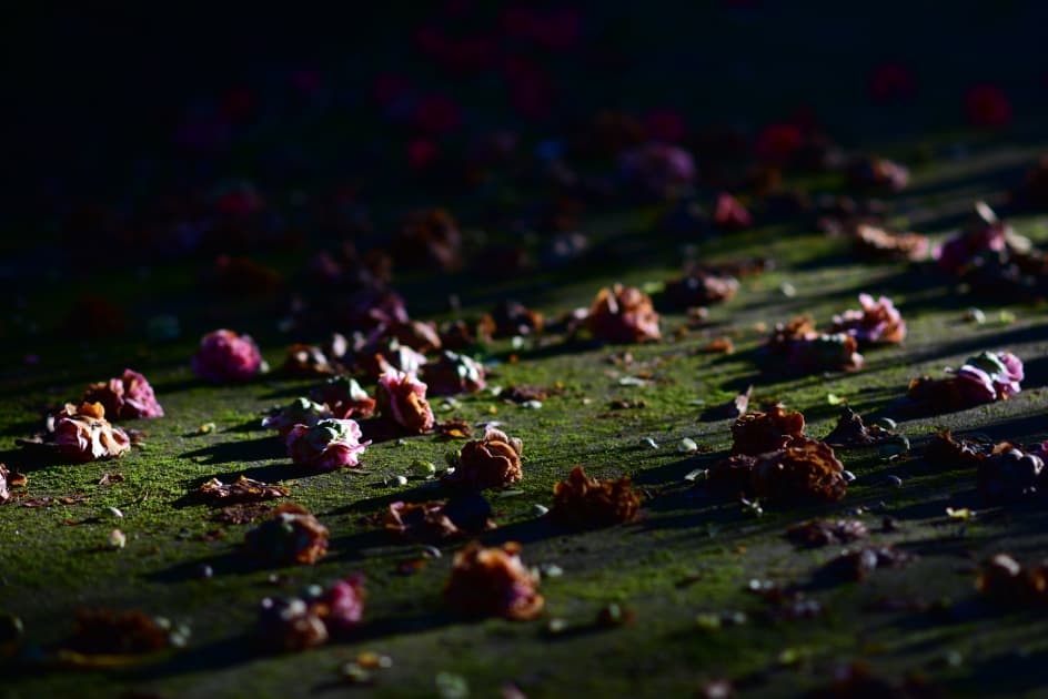 artwork Максим Роменський -  - Un peu de soleil dans l_eau froide