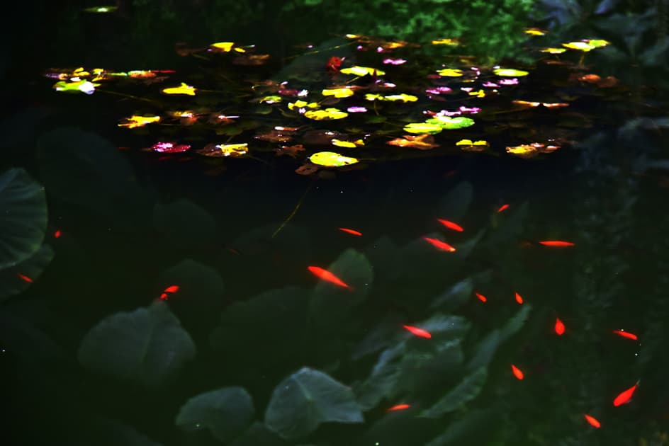 artwork Максим Роменський -  - Un peu de soleil dans l_eau froide