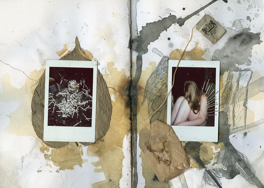 artwork Anastasiia Dekhtiaruk -  - Dreams and Thorns