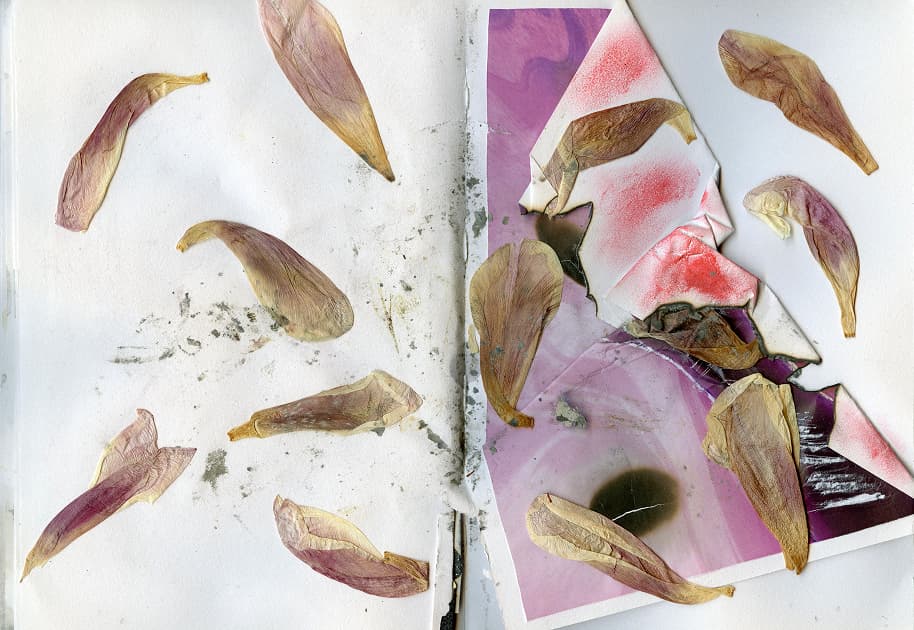 artwork Anastasiia Dekhtiaruk -  - Dreams and Thorns