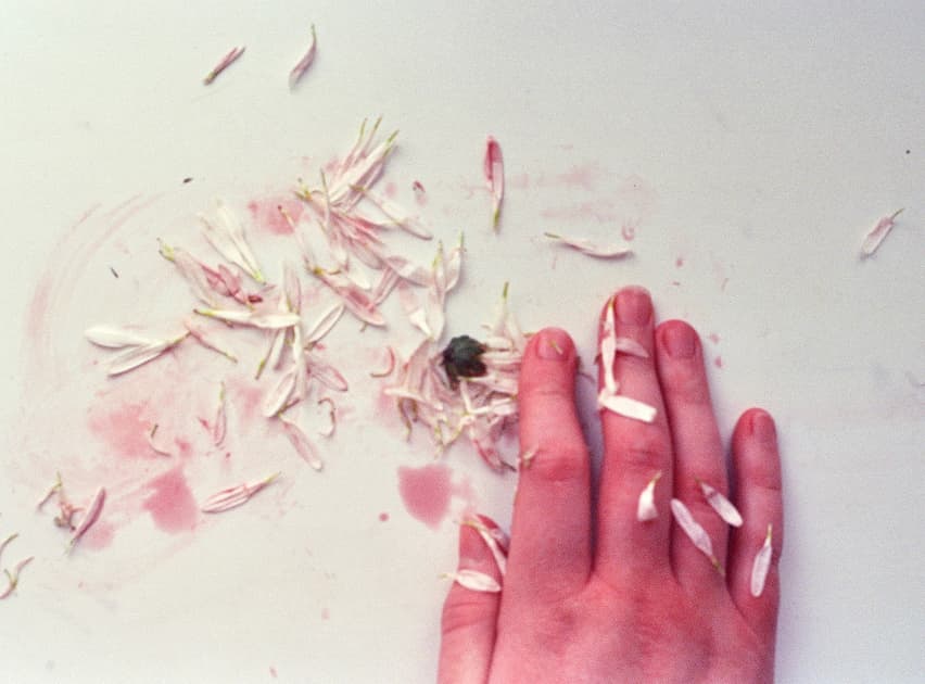 artwork Anastasiia Dekhtiaruk -  - Dreams and Thorns