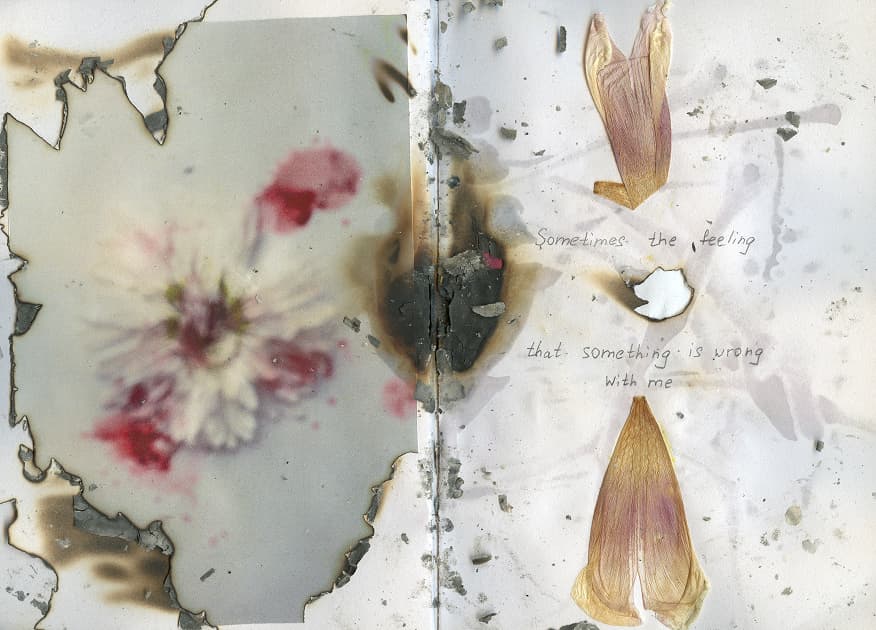 artwork Anastasiia Dekhtiaruk -  - Dreams and Thorns