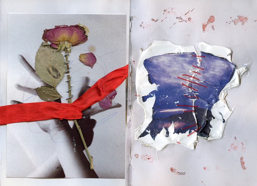 artwork Anastasiia Dekhtiaruk -  - Dreams and Thorns