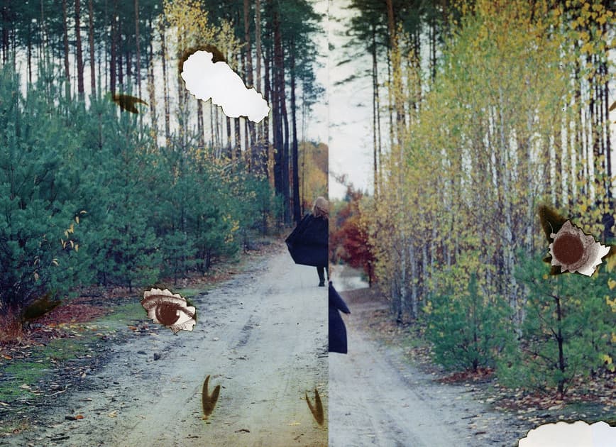 artwork Anastasiia Dekhtiaruk -  - Dreams and Thorns