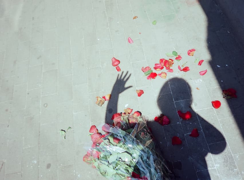 artwork Anastasiia Dekhtiaruk -  - Dreams and Thorns
