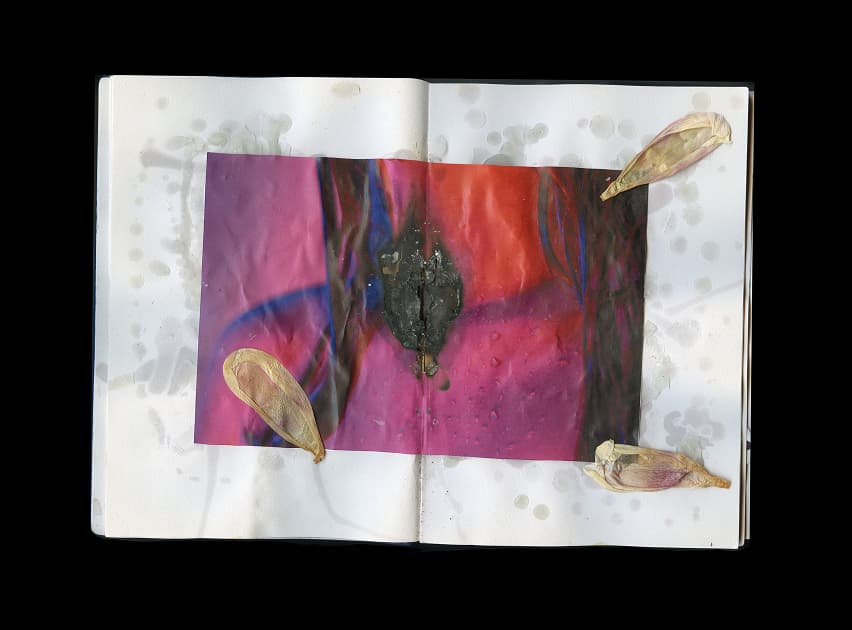 artwork Anastasiia Dekhtiaruk -  - Dreams and Thorns