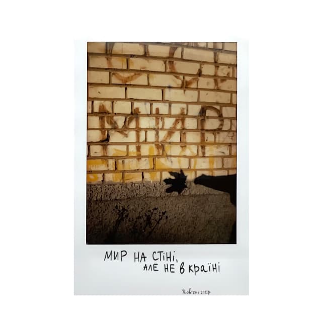 artwork Анастасія Дехтярук -  - Моє життя в білій рамці
