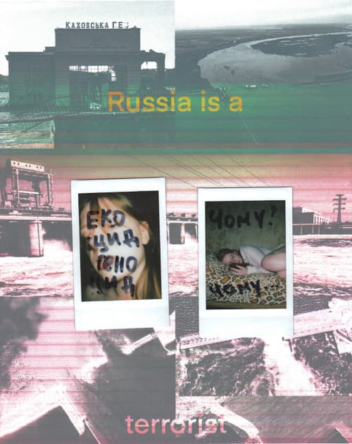 artwork Анастасія Дехтярук -  - Моє життя в білій рамці