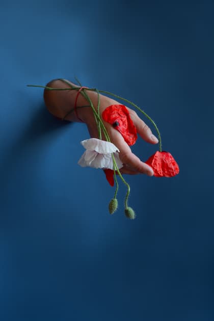 artwork Kateryna Kutsevol -  - One metr