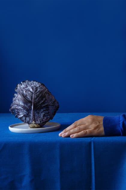 artwork Kateryna Kutsevol -  - One metr