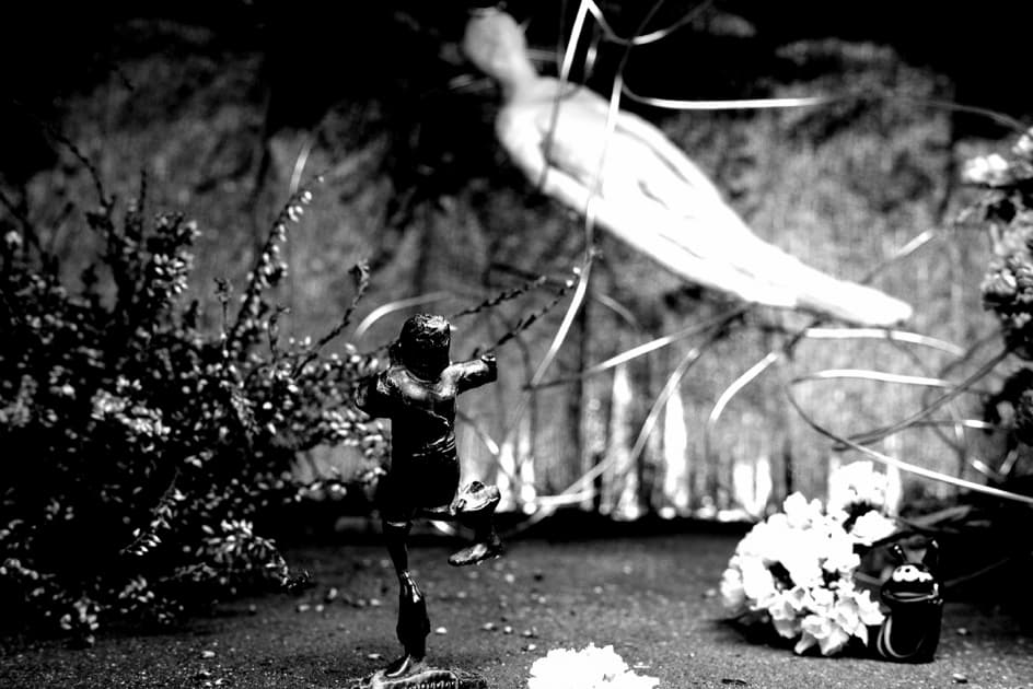 artwork Anna Zhukova -  - Fairytale
