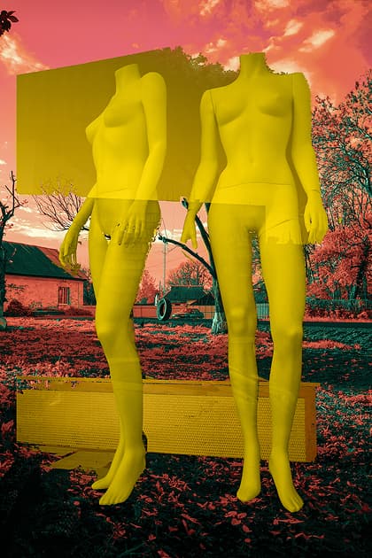 artwork Anna Zhukova -  -  Theory and Practice of Controlled Chaos