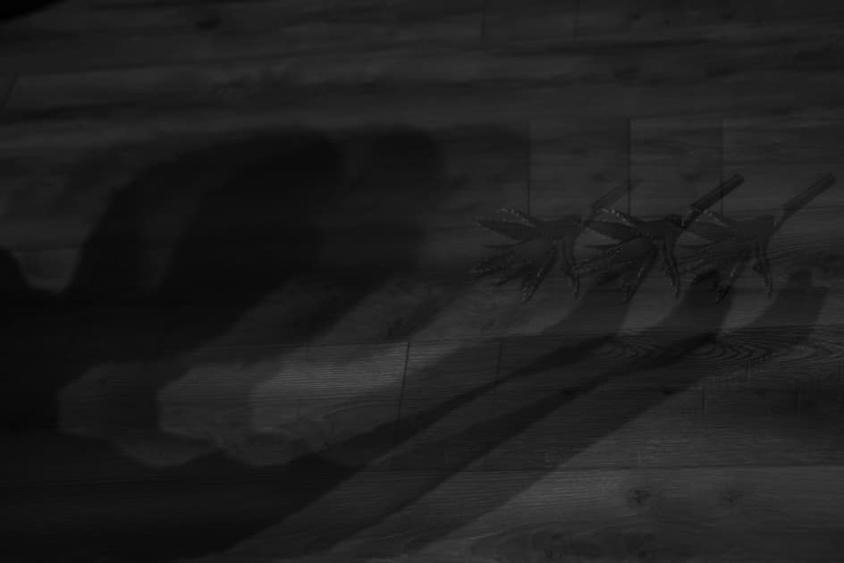 artwork Oksana Kami -  - Ashes Of The Afternoon