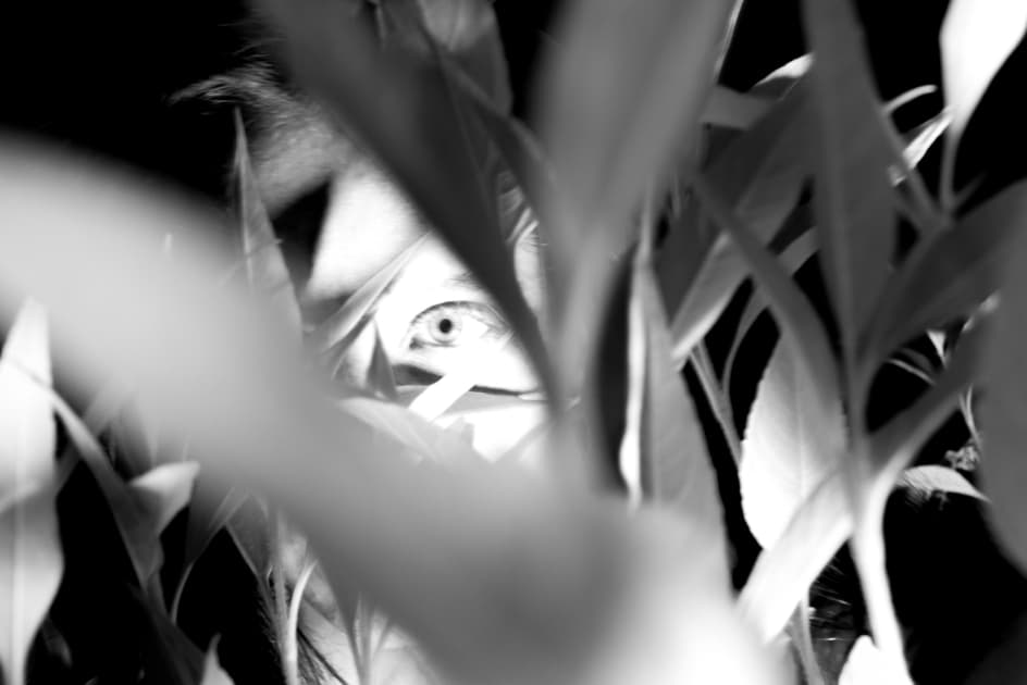 artwork Mariia Horshkova -  - Awareness from the inside