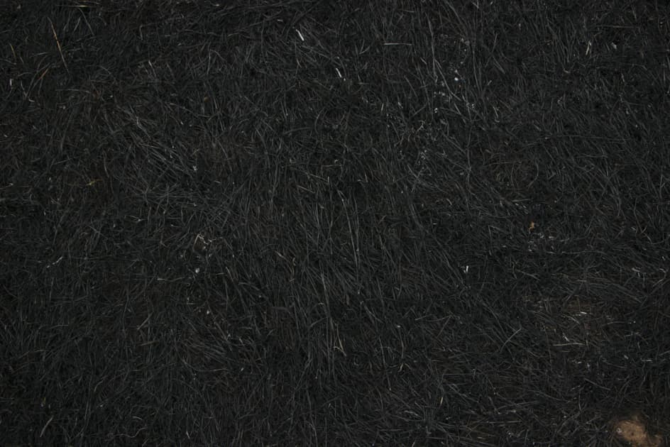 artwork Mariia Horshkova -  - Underfoot
