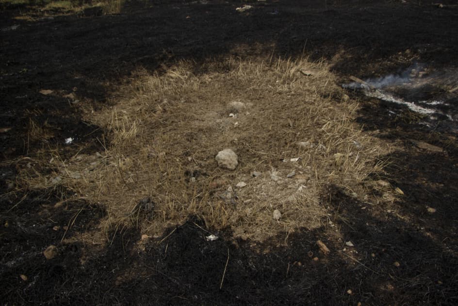 artwork Mariia Horshkova -  - Underfoot
