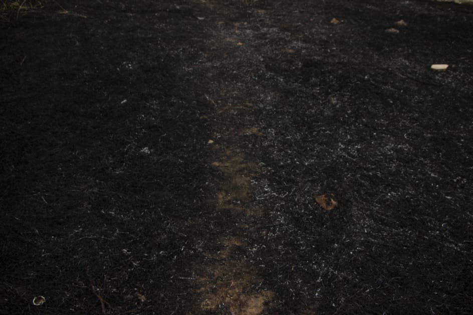 artwork Mariia Horshkova -  - Underfoot