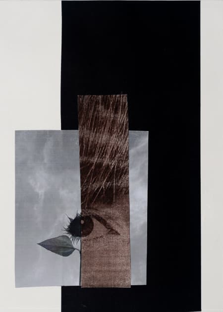 artwork Ainur Sakisheva -  - Identified