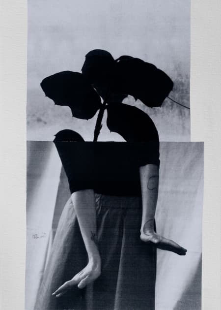 artwork Ainur Sakisheva -  - Identified