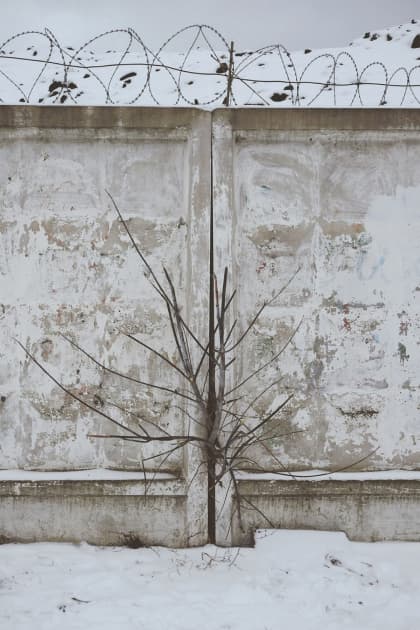 artwork Maria Petrenko -  - Tention