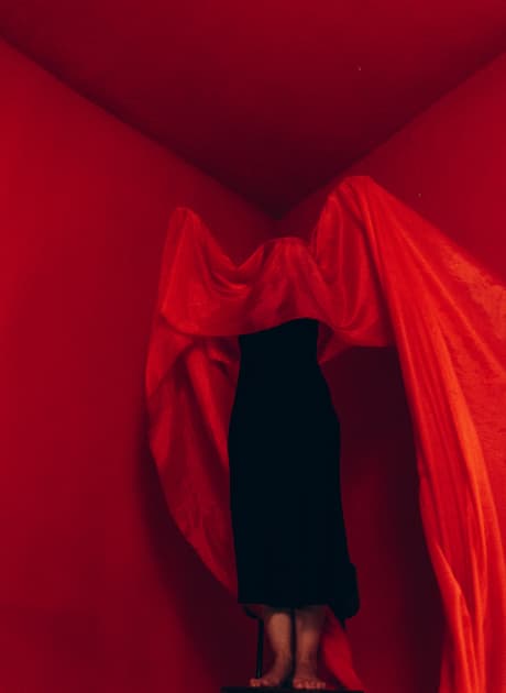 artwork Oksana Nevmerzhytska -  - Red feeling