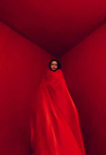 artwork Oksana Nevmerzhytska -  - Red feeling