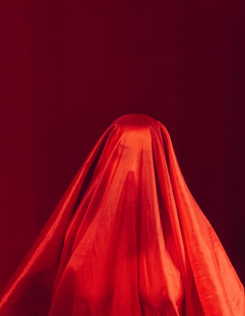 artwork Oksana Nevmerzhytska -  - Red feeling