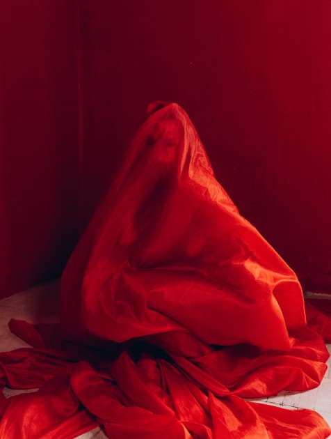 artwork Oksana Nevmerzhytska -  - Red feeling