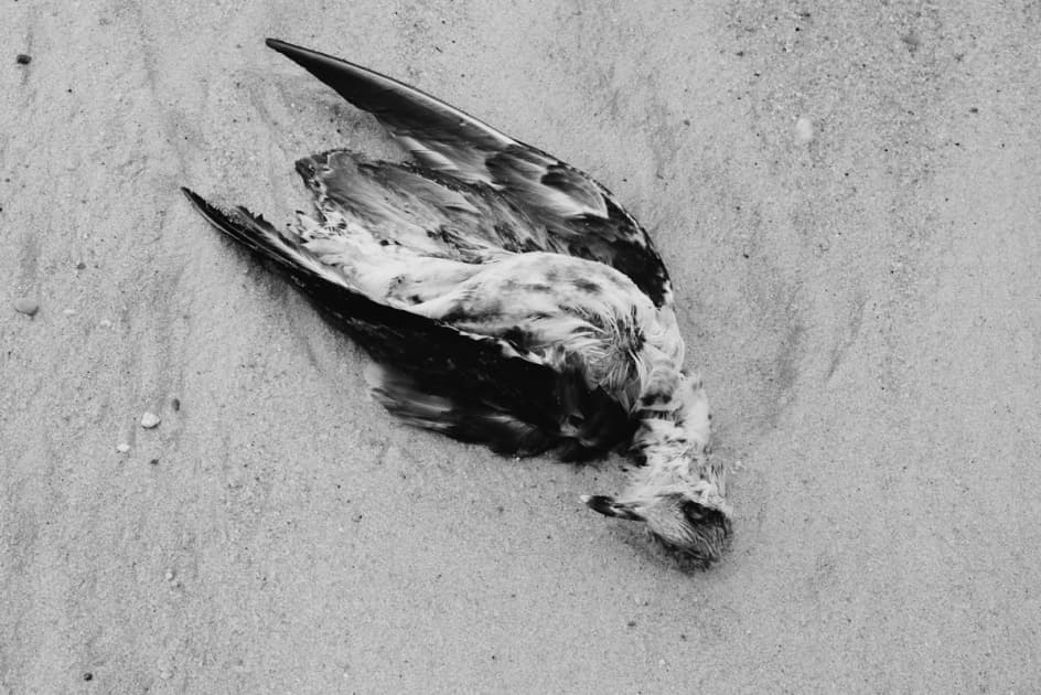 artwork Oksana Nevmerzhytska -  - What is death?