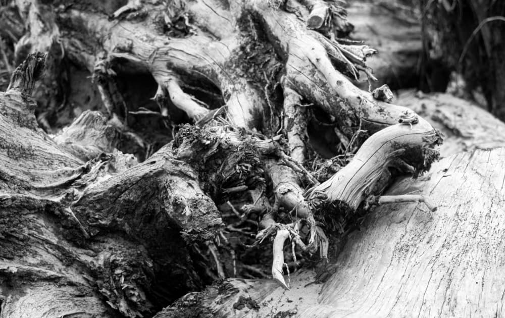 artwork Oksana Nevmerzhytska -  - What is death?