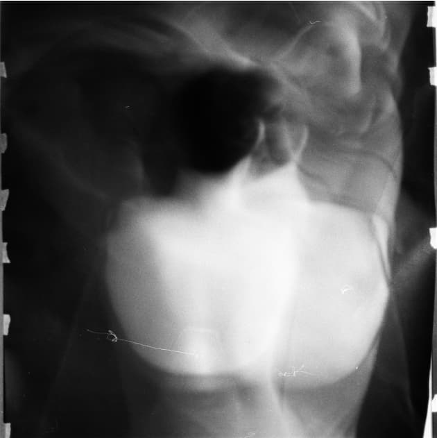 artwork Polina Petrishyna -  - Dangerous! — the body speaks through us