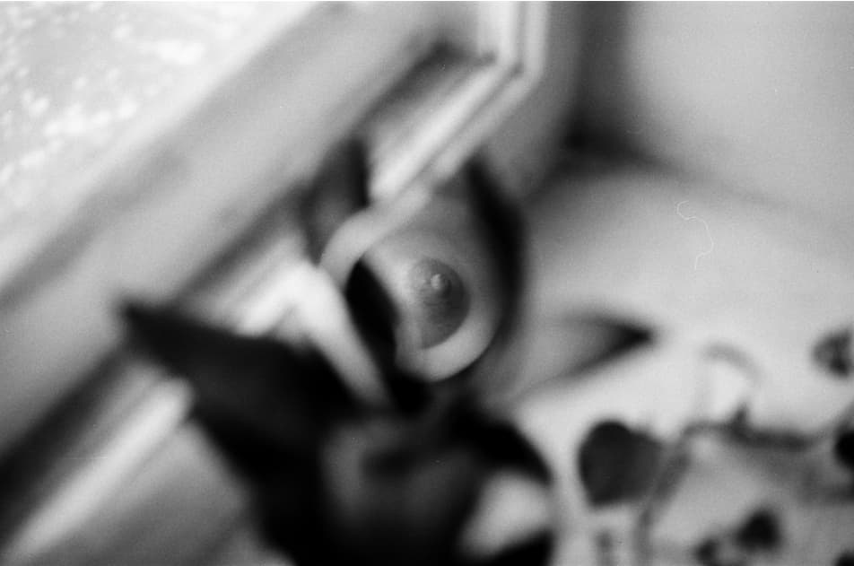 artwork Polina Petrishyna -  - Dangerous! — the body speaks through us