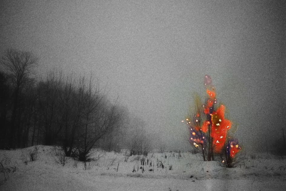 artwork Олі Коваль - - проект Ненасильницькі зміни