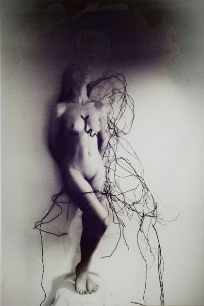 artwork Олі Коваль - 