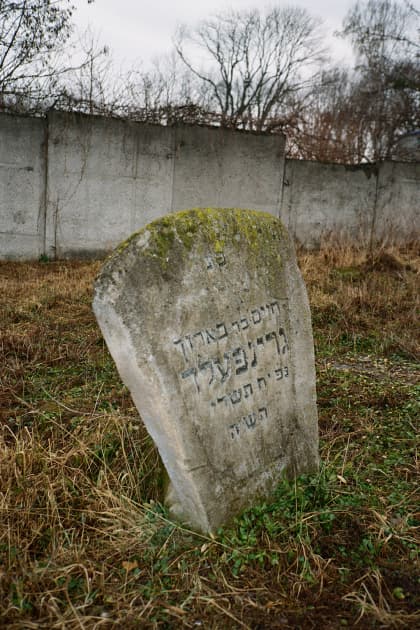 artwork Vika Terekhovska -  -  Cross/Cemetery series