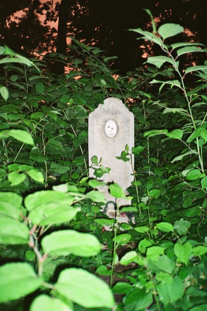 artwork Vika Terekhovska -  -  Cross/Cemetery series