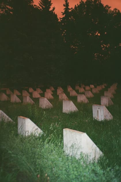 artwork Vika Terekhovska -  -  Cross/Cemetery series
