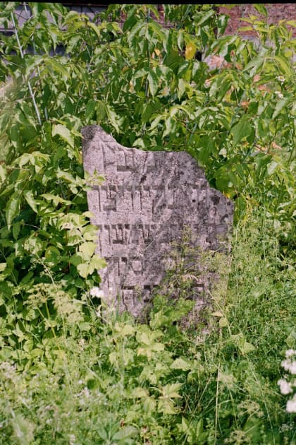 artwork Vika Terekhovska -  -  Cross/Cemetery series
