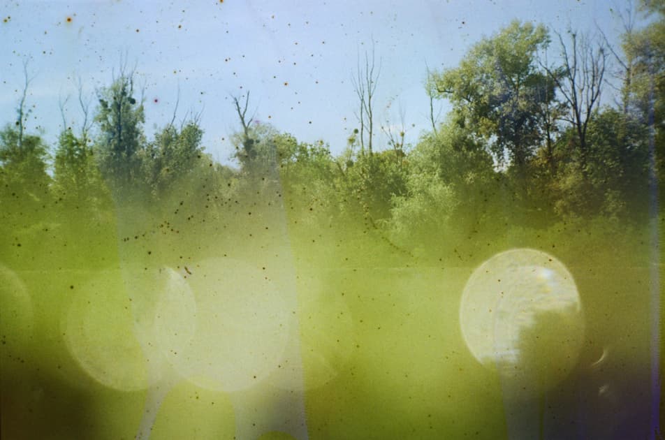 artwork Yuliana Paranko -  - How nature affects the picture