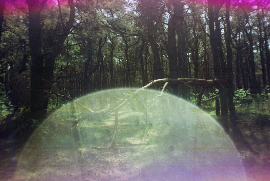 artwork Yuliana Paranko -  - How nature affects the picture