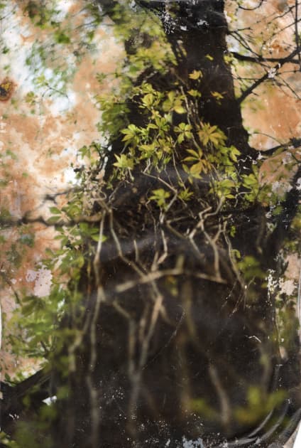 artwork Yuliana Paranko -  - How nature affects the picture